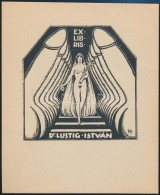 BFY Jelzéssel: Erotikus Ex Libris, Dr. Lustig István. Klisé, Papír, Jelzett, 11x9,5 Cm - Altri & Non Classificati