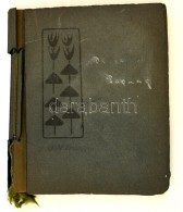 1905 HegedÅ±s Sándor (1847-1906) Közgazdász, Miniszter, írót... - Sonstige & Ohne Zuordnung