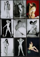 Cca 1983 Fotómodellek, Akik Mindent Megmutatnak, 33 Db Szolidan Erotikus Vintage Negatívról... - Sonstige & Ohne Zuordnung