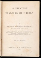 Arthur T. Masterman: Elementary Text-book Of Zoology. Edinburgh, 1901, Livingstone. Kiadói Kopottas... - Non Classificati