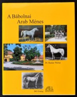 Dr. Hecker Walter: A Bábolnai Arab Ménes. Fordította: Hecker András. (Bp.,) 1996,... - Non Classificati
