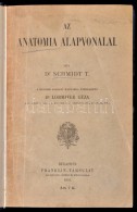 Dr. Schmidt T.: Az Anatomia Alapvonalai. Bp., 1904, Franklin-Társulat. Átkötött... - Ohne Zuordnung