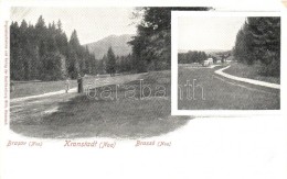 ** T2/T3 Brassó, Brasov; Noa Park, Látkép, Kiadjaa Wilhelm Hiemesch / Noa Park, General View... - Unclassified