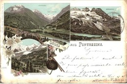 T2/T3 1897 Pontresina, Roseg-Gletscher, Berninapass, Morteratsch-Gletscher. H. Metz Kunst-Verlags 4396. Floral.... - Unclassified