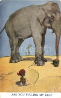 T2/T3 Are You Pulling My Leg? / Elephant With Black Boy S: T. Gilson  (EK) - Non Classificati