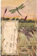 T2/T3 Dragonflies, Art Nouveau Litho - Ohne Zuordnung