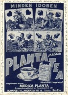 T2/T3 Minden IdÅ‘ben Magyar Planta Tea! Reklámlap / Hungarian Tea Advertisement (EK) - Ohne Zuordnung