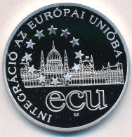 1995. 1000Ft Ag 'Integráció Az EU-ba-ECU'  Tanúsítvánnyal T:PP - Unclassified
