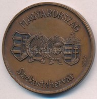 1991. '1946-1991. Magyarország-Székesfehérvár' Br Emlékérem (42mm)... - Ohne Zuordnung
