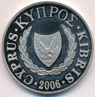 Ciprus 2006. 1Å Ag T:1(PP)
Cyprus 2006. 1 Pound Ag C:UNC(PP) - Unclassified