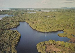 AFRIQUE  ,,,,,GABON,,,, VUE AERIENNE De La REGION Des LACS ( MOYEN  OGOOUE,,,,VOYAGE  1982,,,,TBE - Gabon