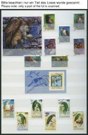 MOTIVSAMMLUNGEN O, **, Ca. 1975-85, Tiere, Partie Verschiedener Ausgaben Und Blocks In 3 Einsteckbüchern, Pracht - Other & Unclassified