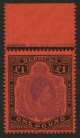 BERMUDA-INSELN 116c **, 1951, 1 £ Schwarz/violett Auf Scharlach, Gezähnt 13 (SG 121d), Postfrisch, Pracht - Bermudes