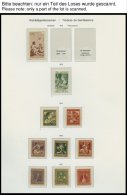 SAMMLUNGEN *,** , 1915-1965, Pro Juventute, Ungebraucht, Bis Auf Wenige Werte Komplette Sammlung Auf Biella Seiten, Meis - Collections