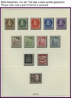 SAMMLUNGEN **, 1953-90, Ab Glocke Mitte Komplette Postfrische Sammlung In 2 Lindner Falzlosalben, Text Komplett, Prachte - Collections