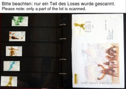 SAMMLUNGEN 2374-2706 O, 2004-08, 5 Komplette Gestempelte Jahrgänge, Ohne SK-Marken, Dazu Viele Erinnerungslätt - Otros & Sin Clasificación