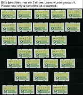 AUTOMATENMARKEN **, 1981-93, Partie Automatenmarken, Dabei Komplette Tastensätze Mit Gleichen Zählnummern, Ohn - Machine Labels [ATM]