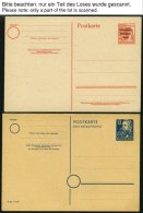 SAMMLUNGEN, LOTS A. P 2-P 38II BRIEF, 1945-50, 40 Meist Verschiedene Ganzsachenkarten, Ungebraucht Und Gebraucht, Meist - Autres & Non Classés