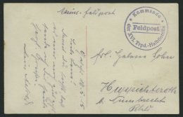 MSP VON 1914 - 1918 (16. T-Boots Halbflottille), 10.5.1915, Violetter Feldpost- Briefstempel, Feldpostkarte Von Bord Ein - Marítimo