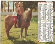 ALMANACH DES P.T.T. 1983 CALENDRIER CHARENTE MARITIME PONEY POUSSINS - Grand Format : 1981-90