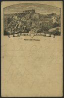 GANZSACHEN PP 6F 78 BRIEF, Privatpost: 1886, 5 Pf. Lila Regenstein, Hotel Und Pension, Stempel BLANKENBURG, Feinst - Sonstige & Ohne Zuordnung