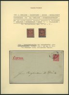 BERLIN B 204 (*), O, PACKETFAHRT GESELLSCHAFT: 1896, Berliner Buchhändler Marke, Ohne Gummi Und Gestempelt, Feinst/ - Otros & Sin Clasificación