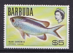 Barbuda 1969 MNH**- FISH - Barbuda (...-1981)