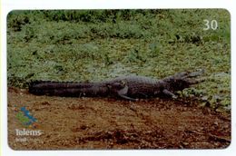 Crocodile Jararé Caiman Télécarte Phonecard  Telefonkarte (S.208) - Brasilien
