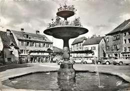 SAINT HIPPOLYTE LA PLACE ET LA FONTAINE - Saint Hippolyte