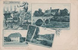 Litho AK Grillenburg Gasthof Jagdschloss Seerenteich Hirsch Bei Tharandt Klingenberg Hartha Hetzdorf Edle Krone Freital - Tharandt