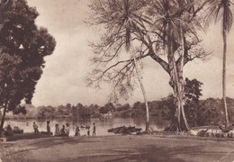 AFRIQUE,,,,GUINEE FRANCAISE,,,,CONAKRY,,,,,BORD De  MER,,,,VOYAGE  1950,,, - Guinée Française