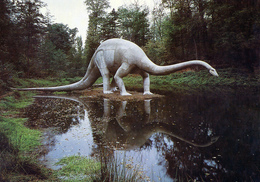 Saurierpark Kleinwelka, Germany, Ca. 1980s, Dinosaur - Diplodocus - Bautzen