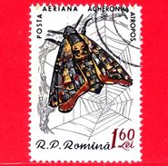 Nuovo Oblit. - ROMANIA - 1960 - Farfalla - Butterflies - Acherontia Atropos - 1.60 P. Aerea - Neufs