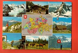 EAI-24  Multivues De La Suisse, Matterhorn, Chevaux, Chèvres, Lanceur De Drapeau. Circulé En 1972, Timbre Manque - Matt