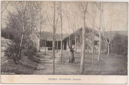 Postal Portugal - Pedras Salgadas - Vacaria (Ed. Marques Abreu & Cª.) - CPA - Carte Postale - Postcard - Vila Real