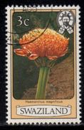 Swaziland - 1980 Flowers 3c Perf 12 (o) # SG 342Ac - Swaziland (1968-...)