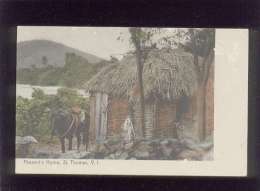 Peasant's Home St Thomas V.I. édit. Ino N. Lightbourn  , Couleur - Virgin Islands, US