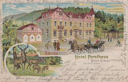 Litho AK Graupa Hotel Gasthof Forsthaus Bonnewitz Liebethal Pillnitz Pirna Dresden Lohmen Eschdorf Wünschendorf Borsberg - Pillnitz