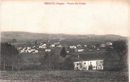 Carte Postale Ancienne De URIMENIL - Urimenil