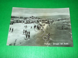 Cartolina Cagliari - Spiaggia Del Poetto 1955 #1 - Cagliari