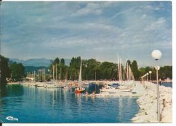 Haute Savoie - Sciez (74) Le Port (voiliers De Plaisance) - Lac Leman -  édit Combier 3 02 80 0058 - Sciez