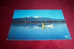 LE ROUSSILLON LE CANIGOU - Roussillon