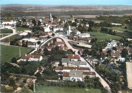 CPSM FRANCE 65 "Castelnau Rivière Basse, Vue Générale Aérienne" - Castelnau Riviere Basse