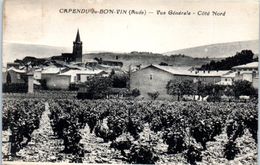 11 - CAPENDU Du BON VIN --  Vue Générale Côté Nord - Capendu