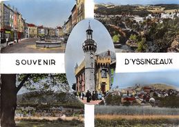 43-YSSINGEAUX - MULTIVUES - Yssingeaux