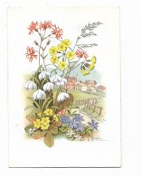 FIORI SFONDO PAESAGGIO ILLUSTRATA S. BONELLI VIAGGIATA FG - Fleurs