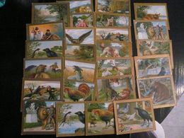 Old Cigarette Cards Lot (2) - N° 26 Turkish Trophies Cards Fable Series Anargyros - Objetos Publicitarios