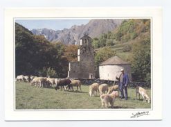 65-- ARAGNOUET Vallée AURE Chapelle Des TEMPLIERS-- Moutons Berger --RECTO/VERSO-C96 - Aragnouet