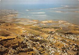 44-BATZ-SUR-MER- V.V.F. LES SALINES - Batz-sur-Mer (Bourg De B.)