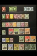 1864-1949 FINE MINT COLLECTION On Stock Pages, ALL DIFFERENT, Inc 1864-80 1d & 1s (x2 Shades), 1884-94 Set To... - Saint Helena Island